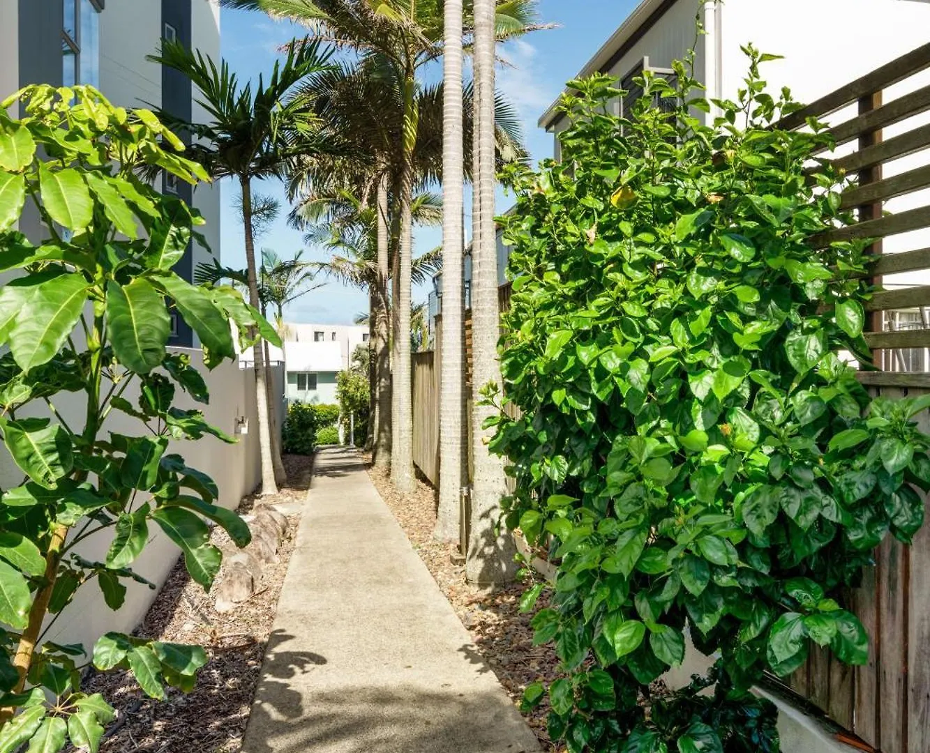 Coastal Bliss - 3Br Unit Overlooking Kings Beach Caloundra Australia